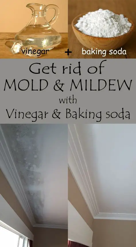 Get rid of mold and mildew with vinegar and baking soda ...