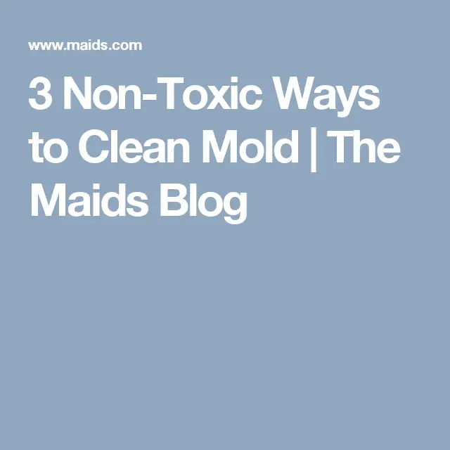 Getting Rid of Mold Naturally: 5 Non