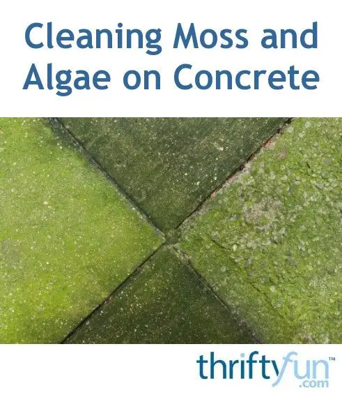 Getting Rid of Moss and Algae on Concrete