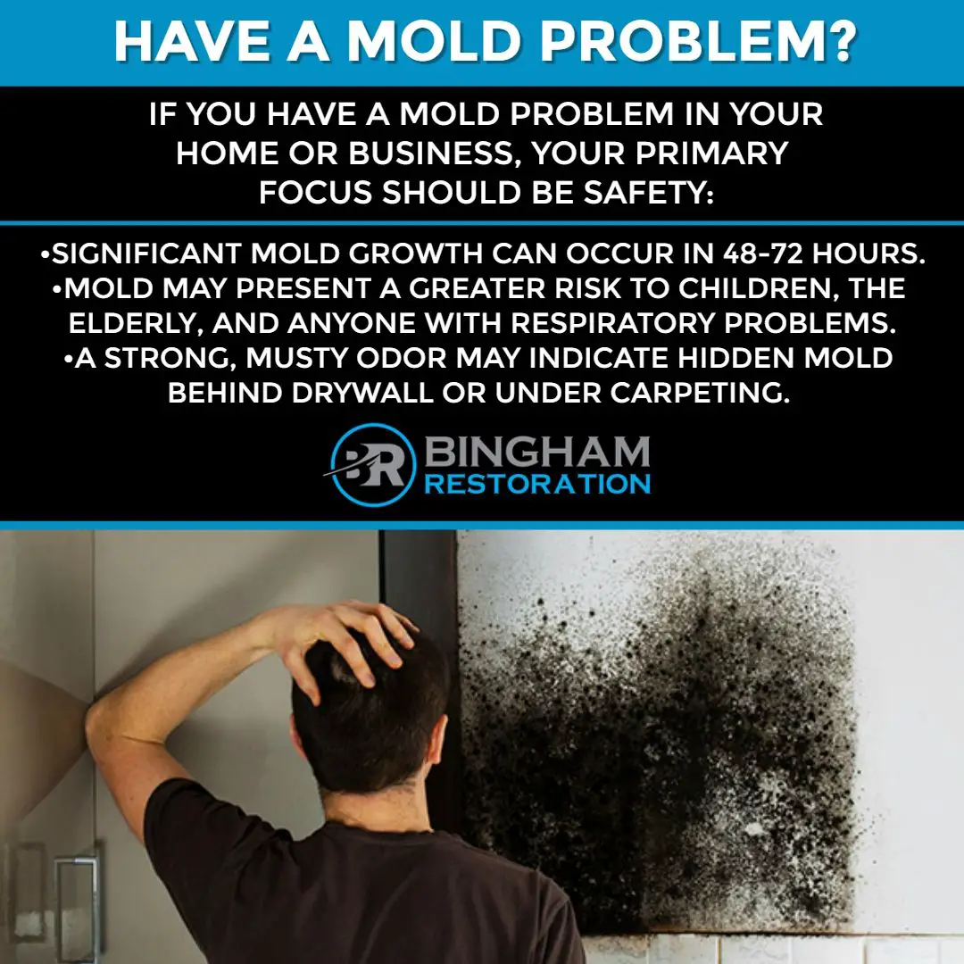 Have a mold problem? If you have a mold problem in your home or ...