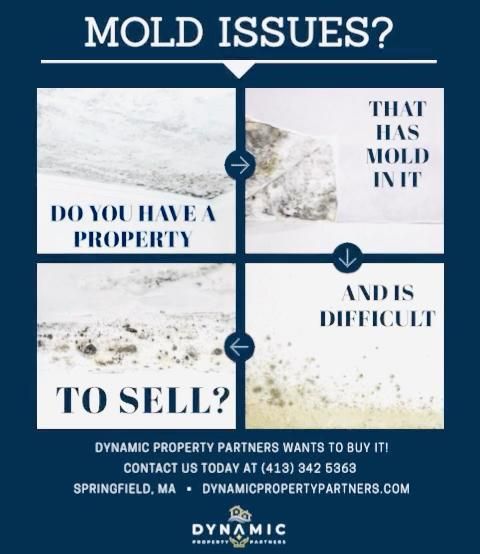 Have Mold Issues in Your House? [Video]