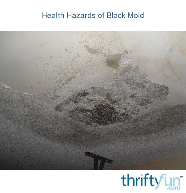 Health Hazards of Black Mold