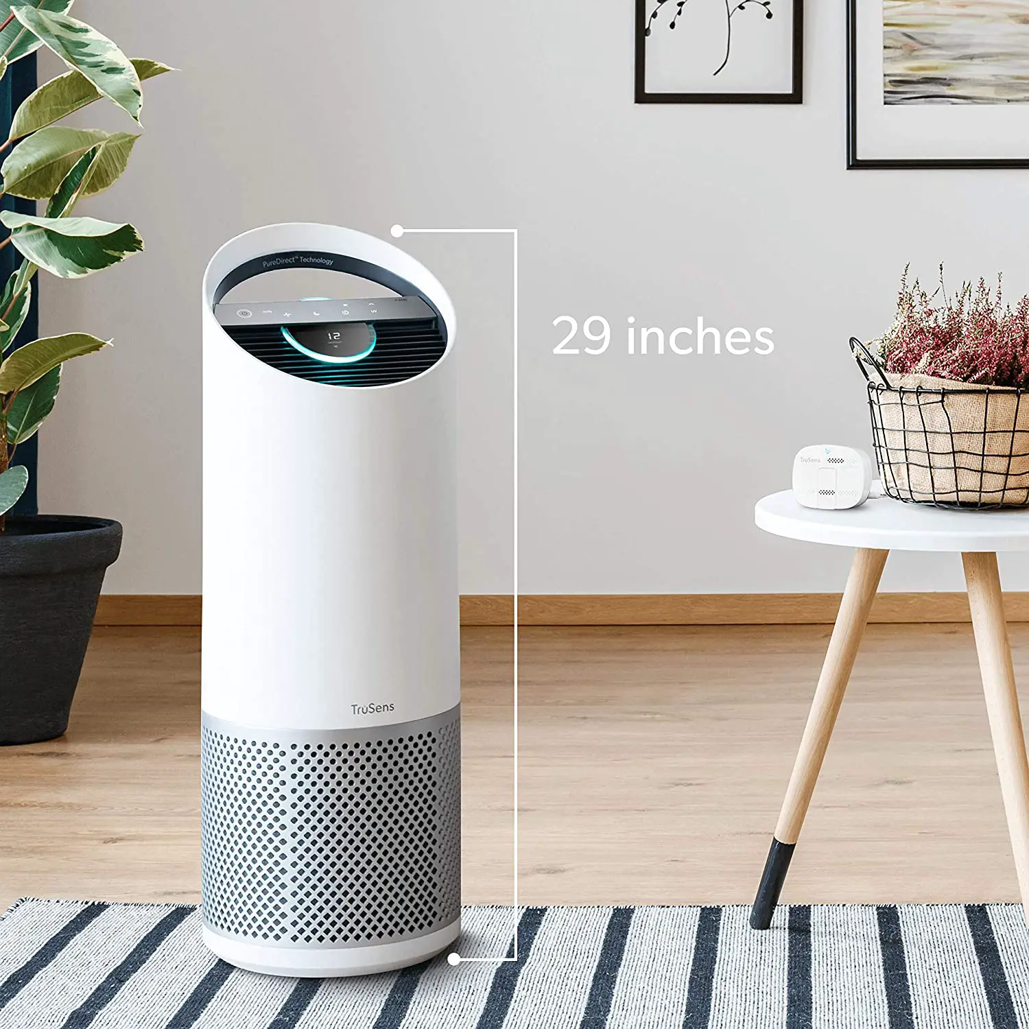 Here Are The Best Air Purifiers For Mold, Mildew, And Virus Used At ...
