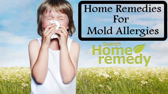 Home Remedies For Mold Allergies