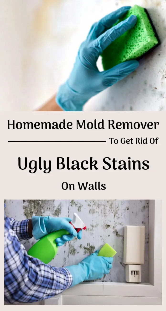 Homemade Mold Remover To Get Rid Of Ugly Black Stains On Walls ...