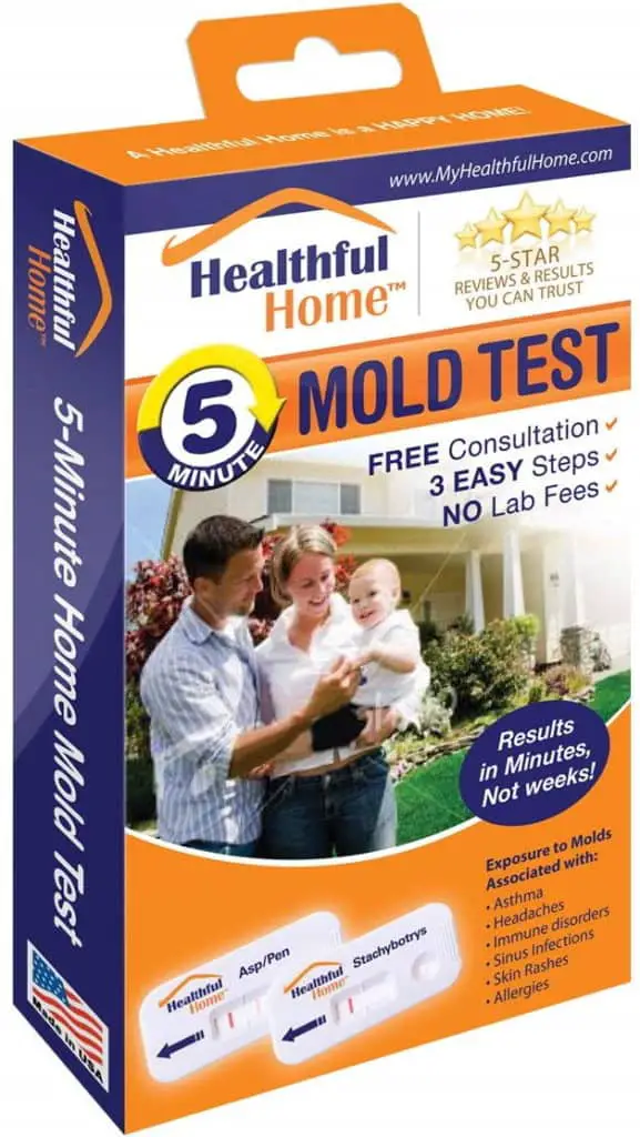 How Can I Test For Mold In My Apartment?  Apartment School