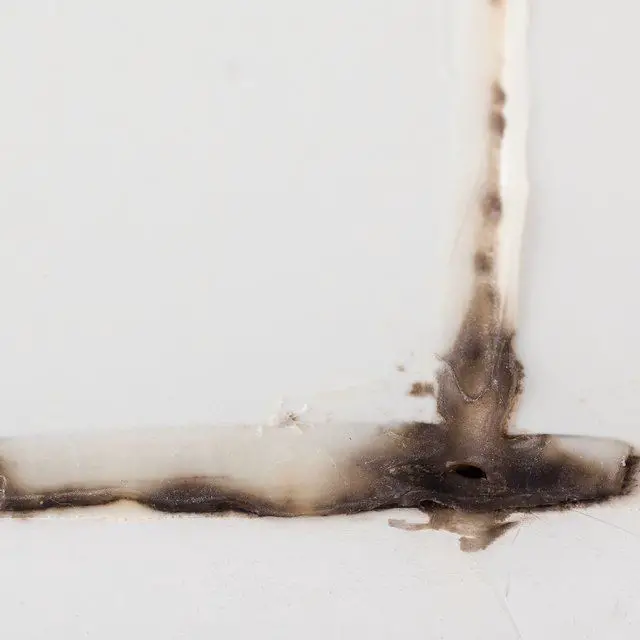 How Do I Clean Black Mold in Shower Silicone?