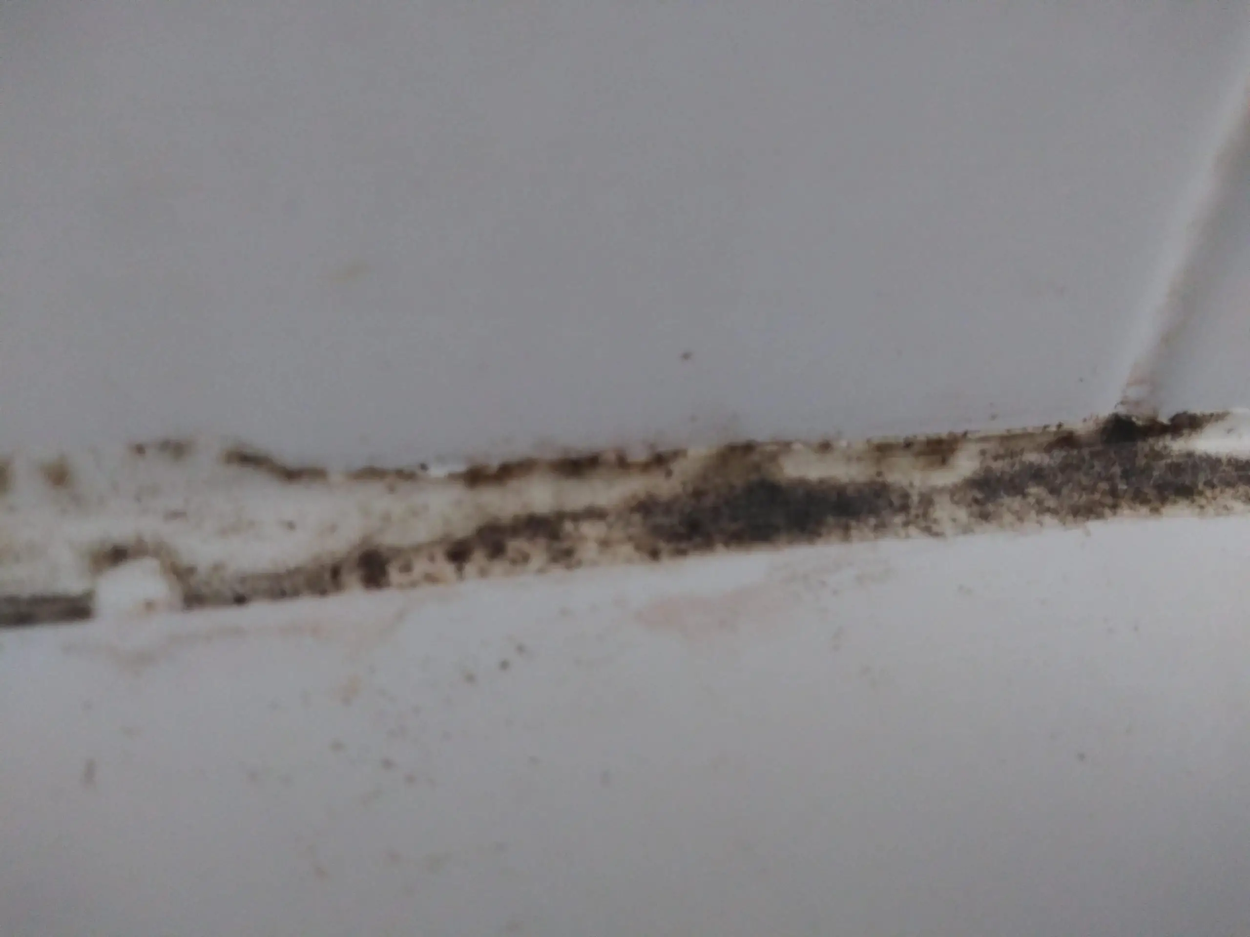 How do I clean this mold from a Bath Fitter tub ...