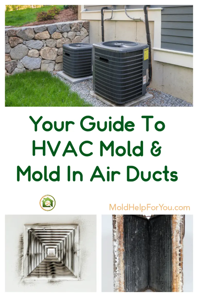 How do I know if I have mold in my air ducts? How do I ...