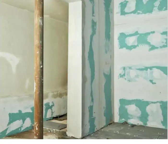 How do I know if my home has mold?