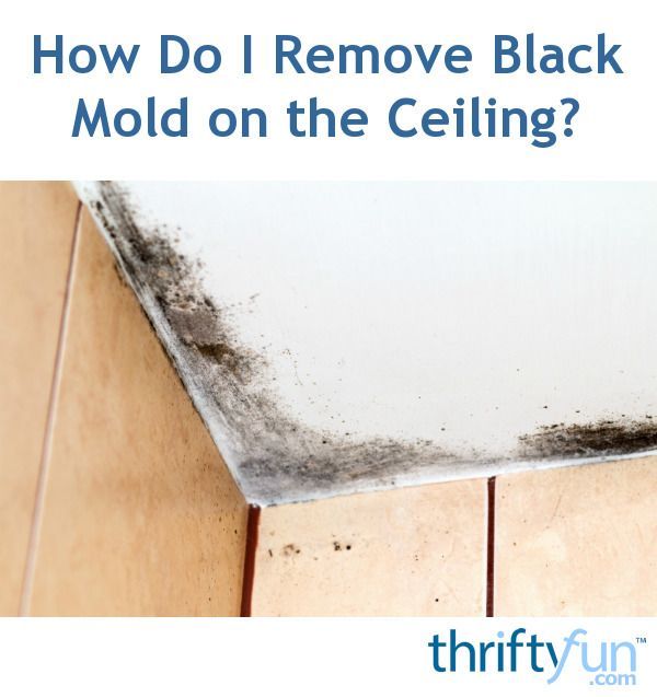 How Do I Remove Black Mold on the Ceiling?