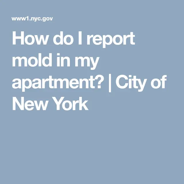 How do I report mold in my apartment?