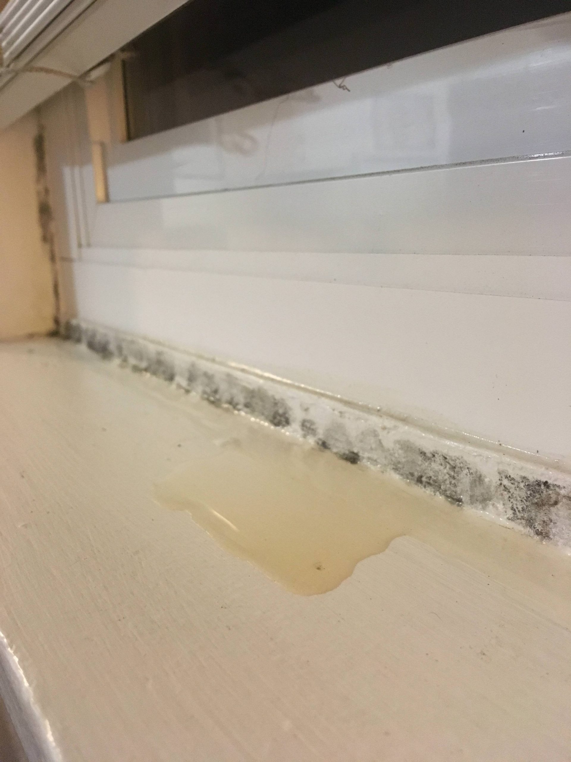 How do I take care of this mold in my apartment? : askportland