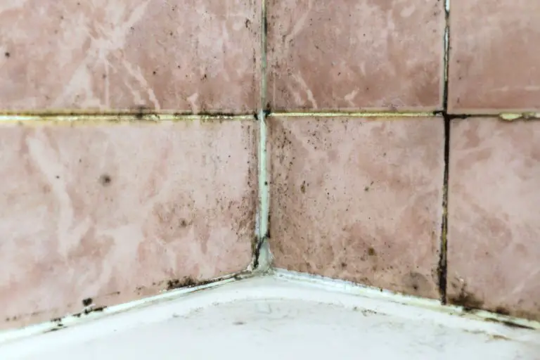 How Do You Get Black Mold Out of Shower?