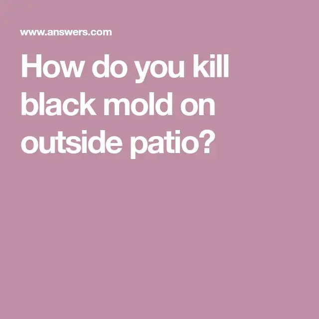 How do you kill black mold on outside patio?