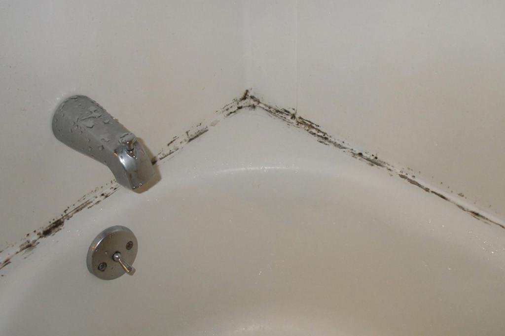 How Do You Kill Black Mold Spores From Shower Caulking?