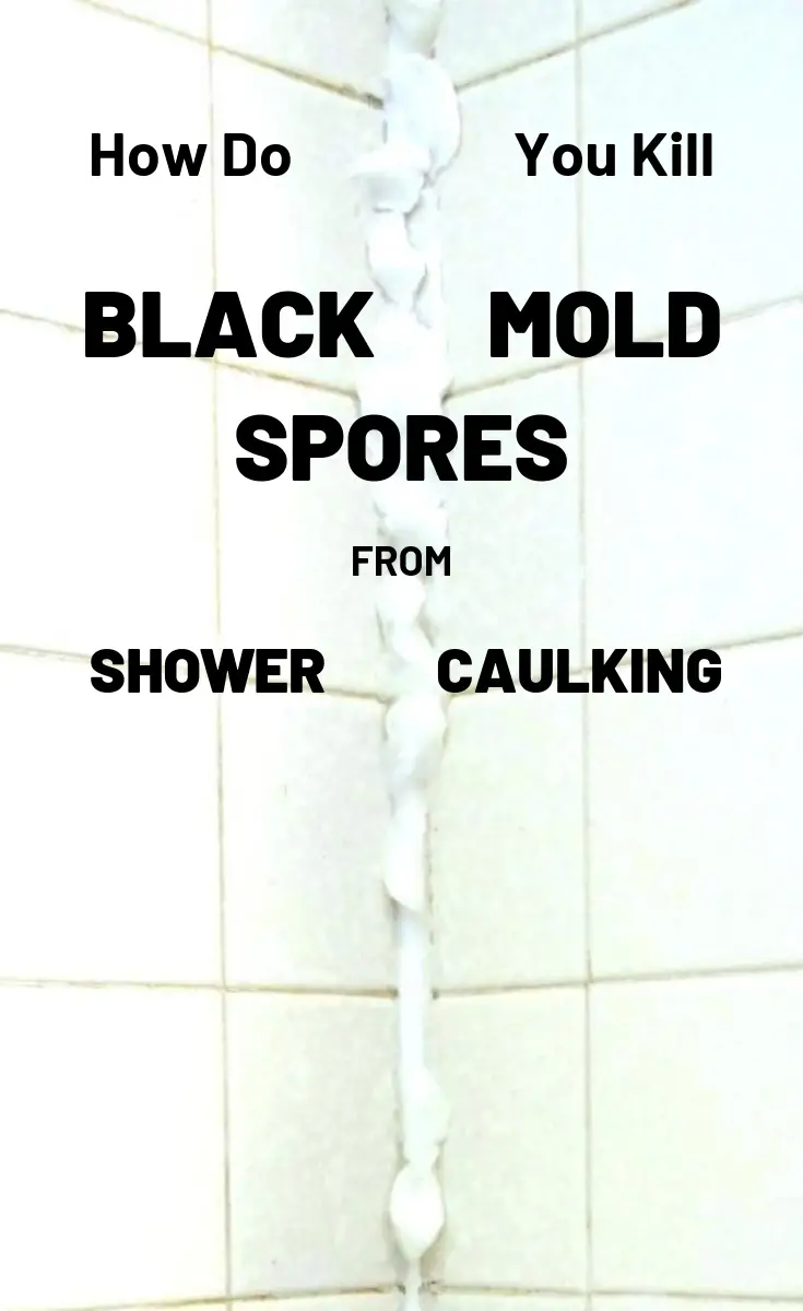How Do You Kill Black Mold Spores From Shower Caulking ...