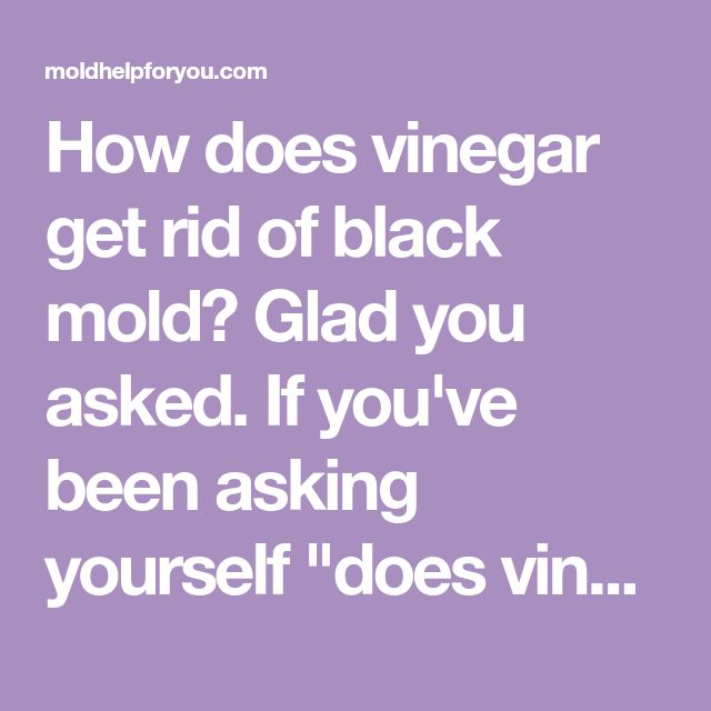 How does vinegar get rid of black mold? Glad you asked. If you