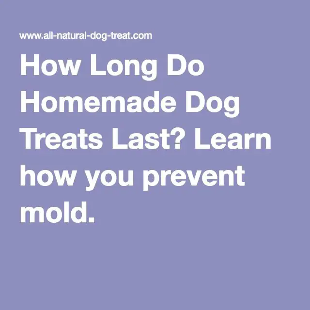 How Long Do Homemade Dog Treats Last? Learn how you prevent mold ...