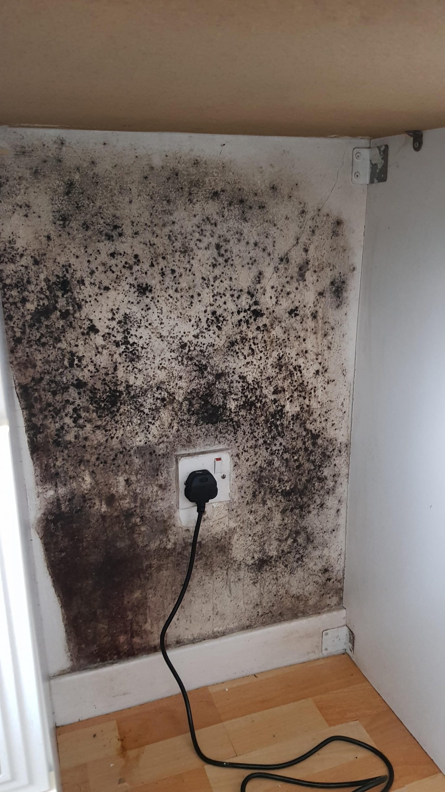 How long does this take to happen? Just moved in 16 days ago. : Mold