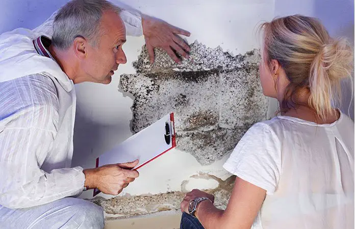 How Mold Exposure Affects Your Health