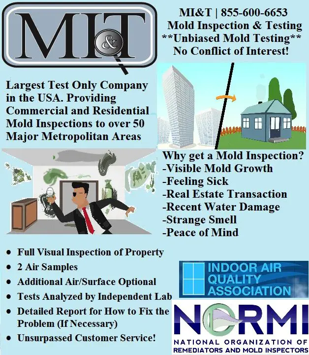 How Much Does a Mold Inspection Cost
