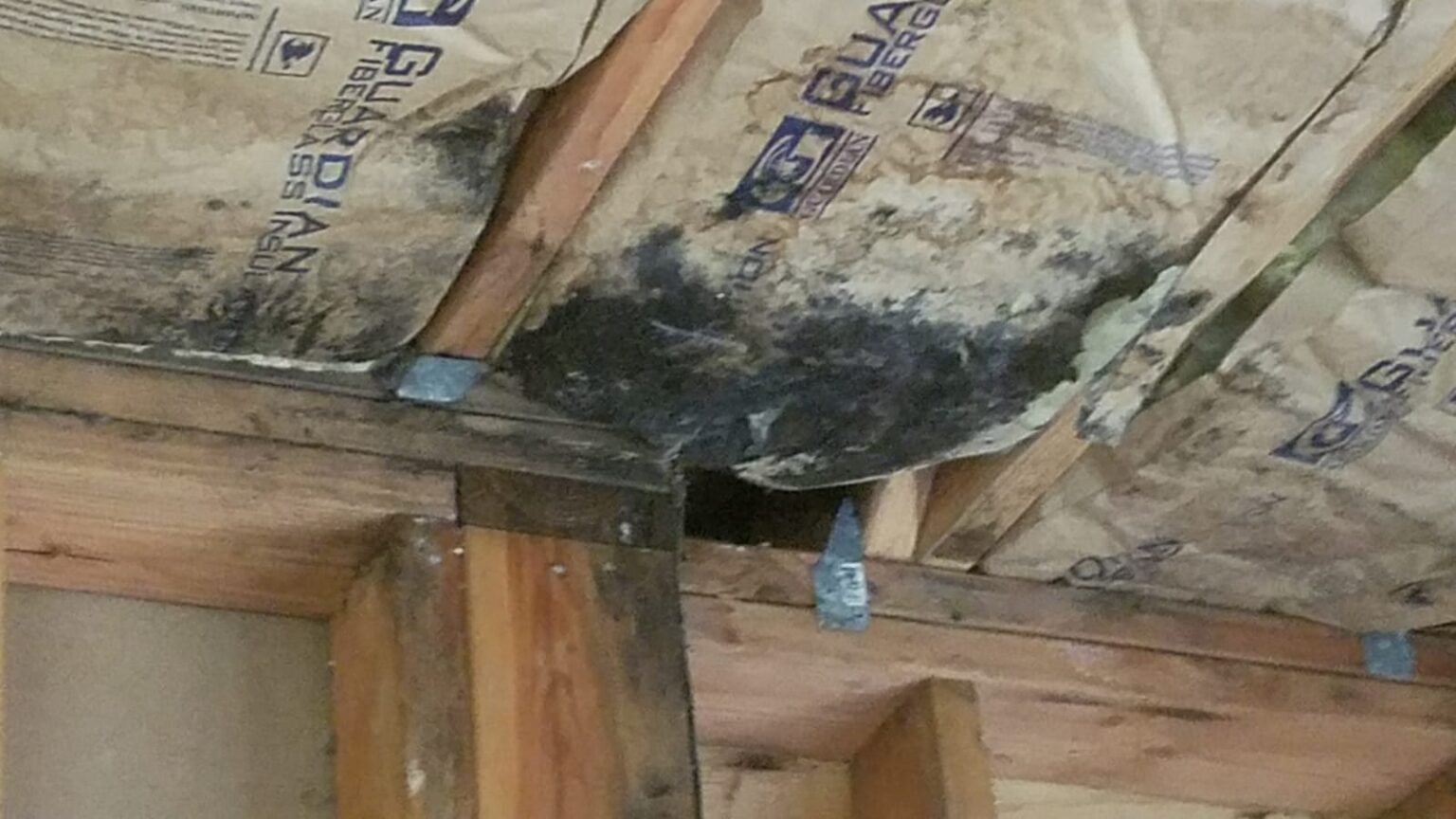 How Much Does it Cost to Hire Someone to Remove Mold ...