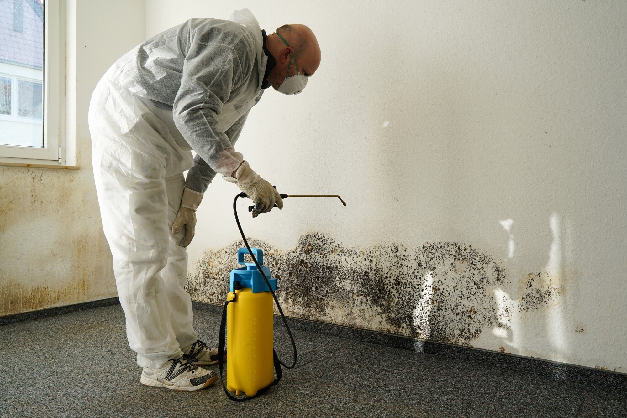 How Much Mold Is Too Much Mold In A House?