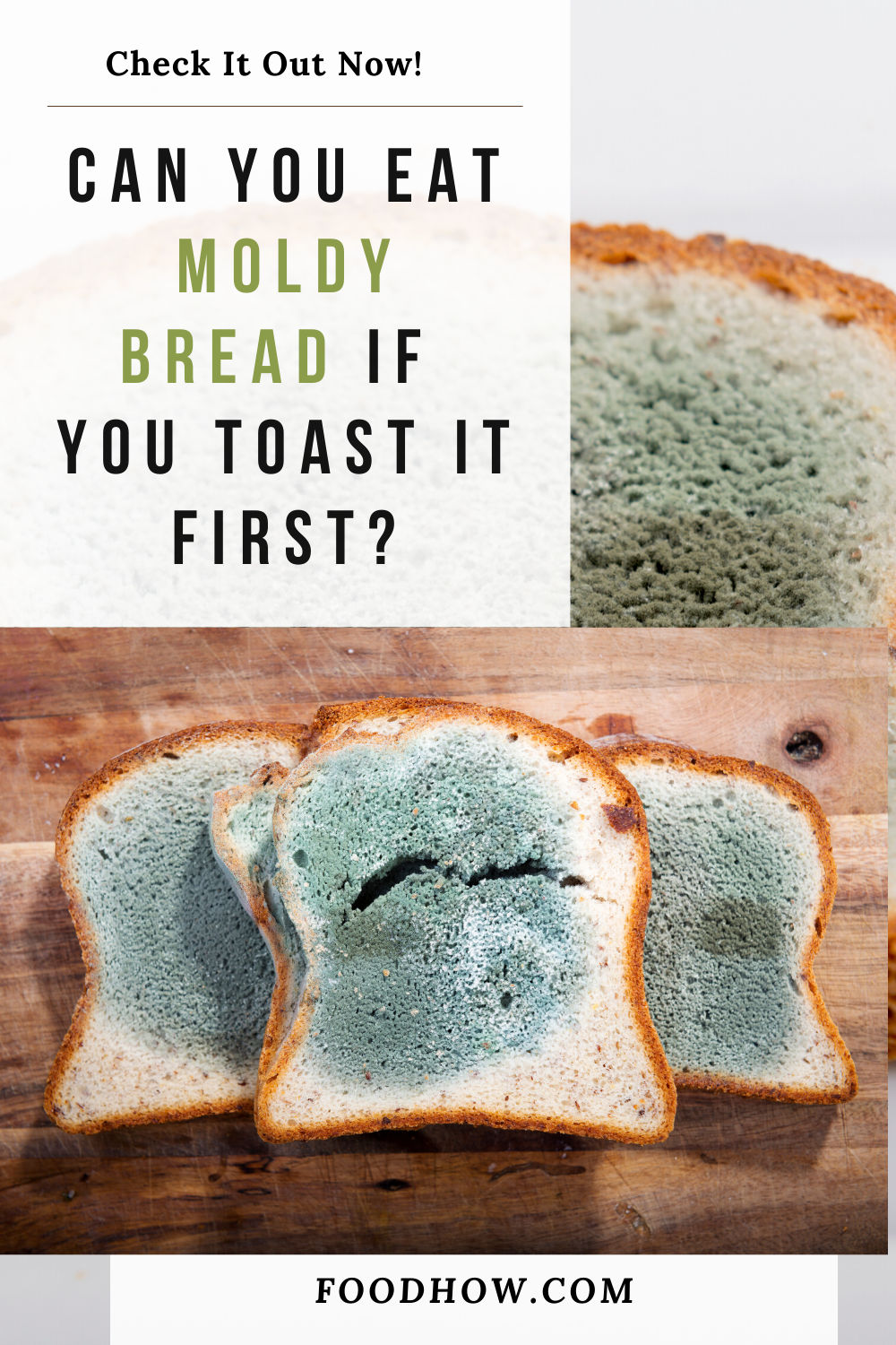 How Soon Do I Get Sick After Eating A Moldy Bread? This ...