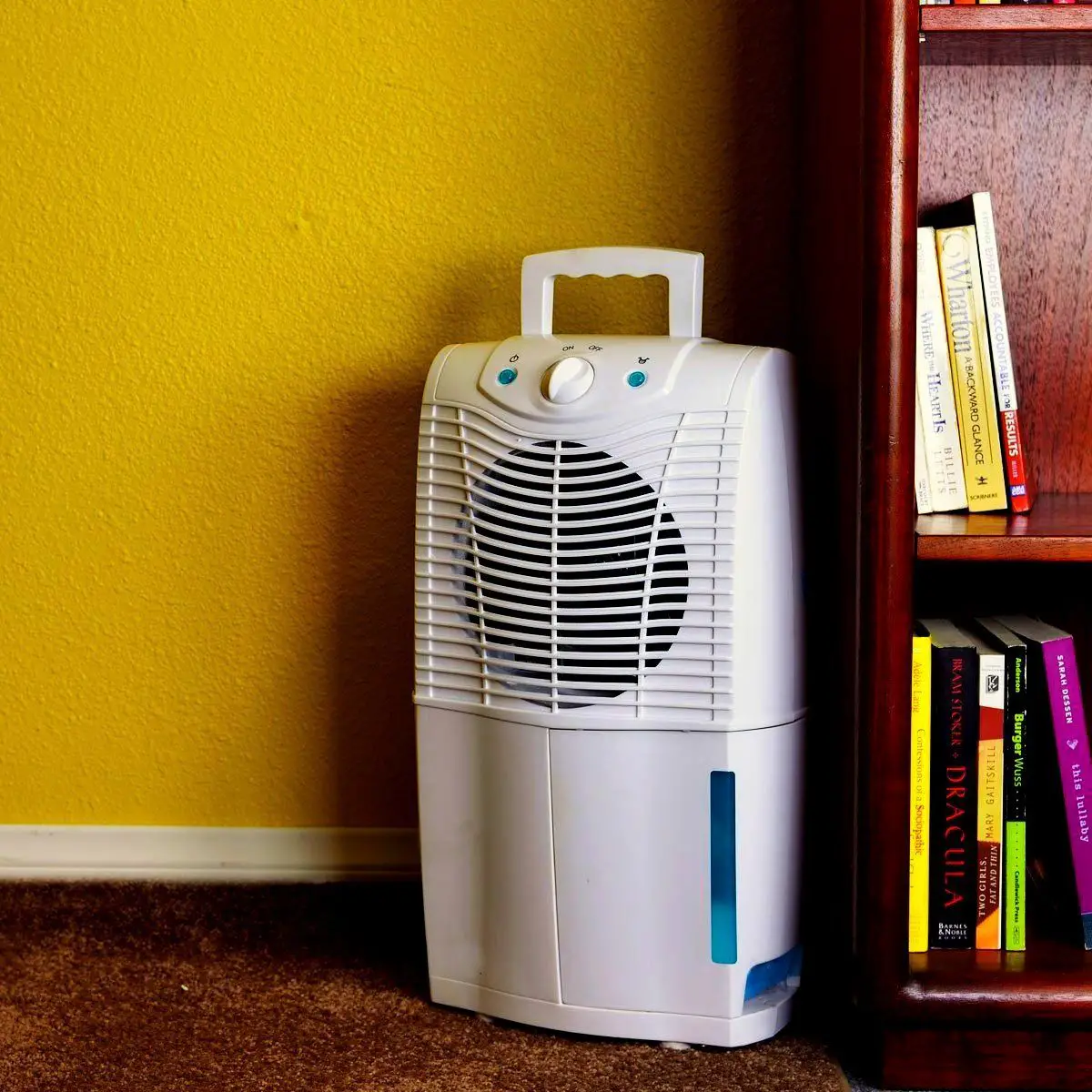 How To Clean A Dehumidifier Of Mold