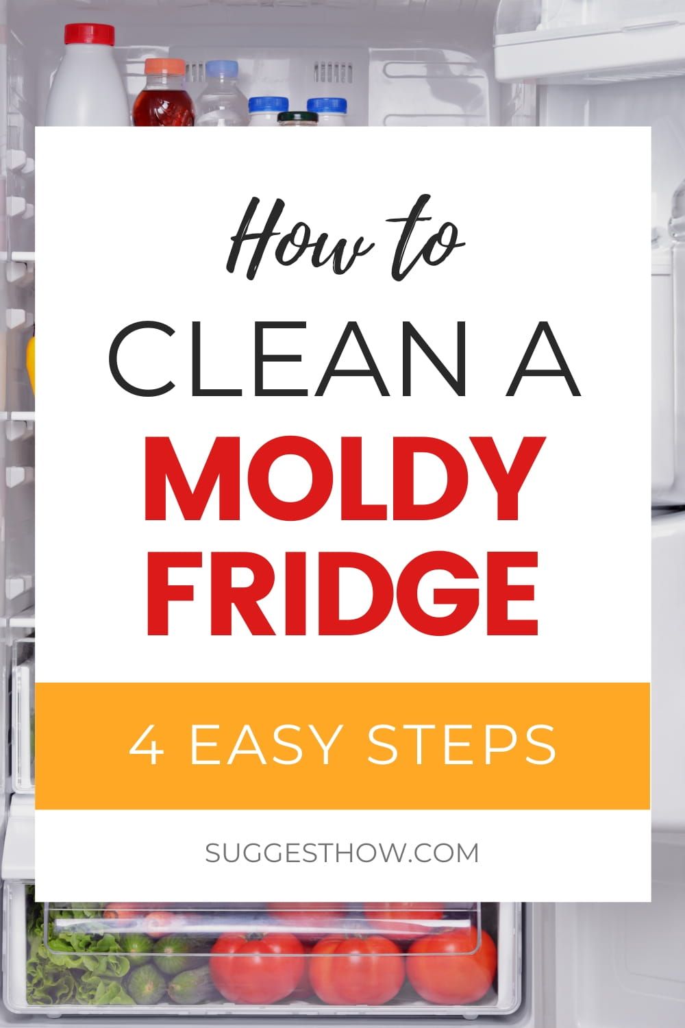 How to Clean a Moldy Fridge
