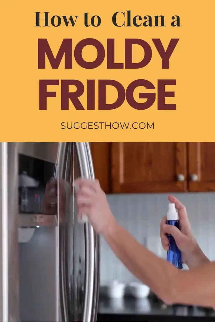 How to Clean a Moldy Fridge [Video] [Video]