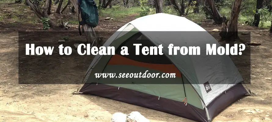 How to Clean a Tent from Mold?