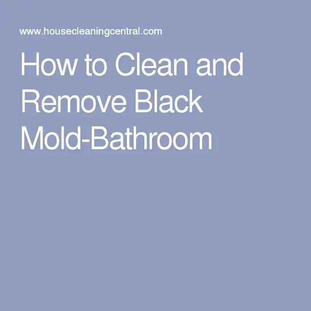 How to Clean and Remove Black Mold