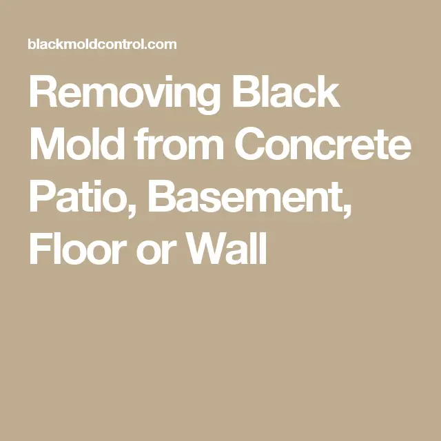 How To Clean Black Mold From Concrete Patio