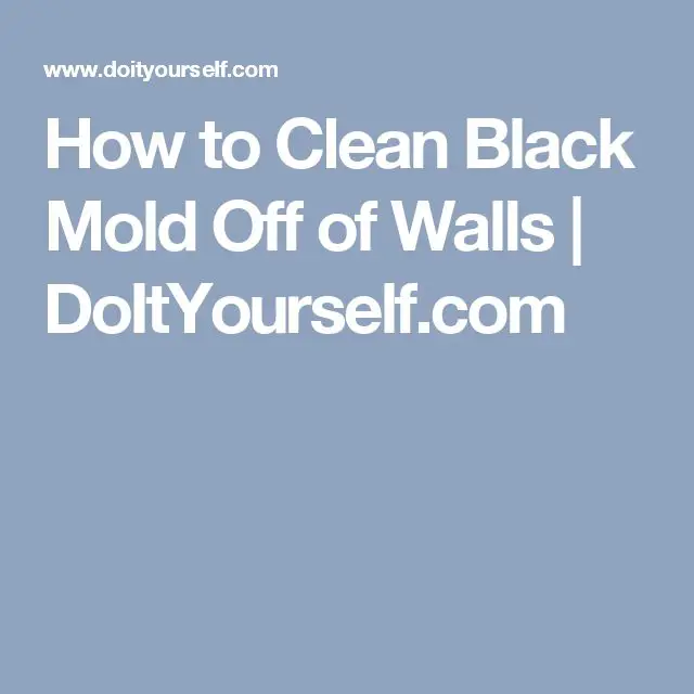 How to Clean Black Mold Off of Walls