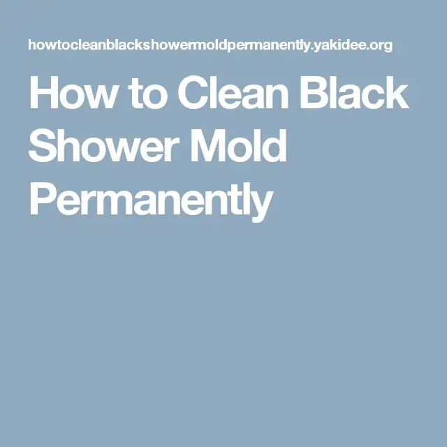 How to Clean Black Shower Mold Permanently
