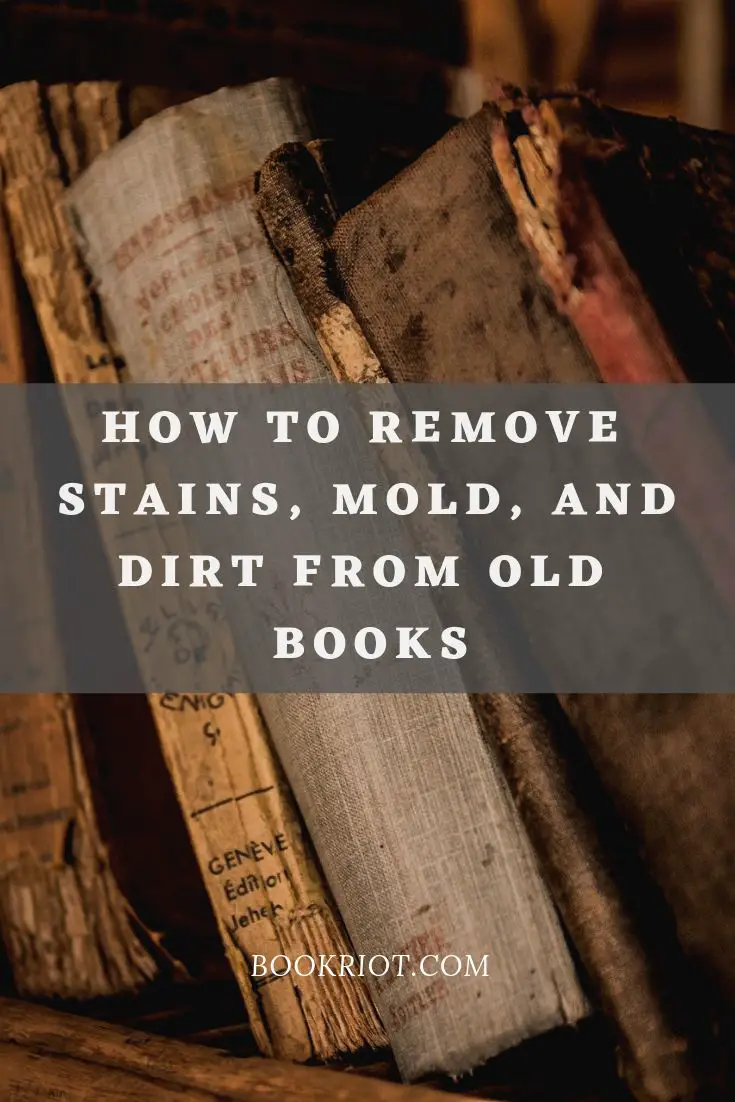 How To Clean Books: Remove Stains, Mold, and Dirt From Old ...
