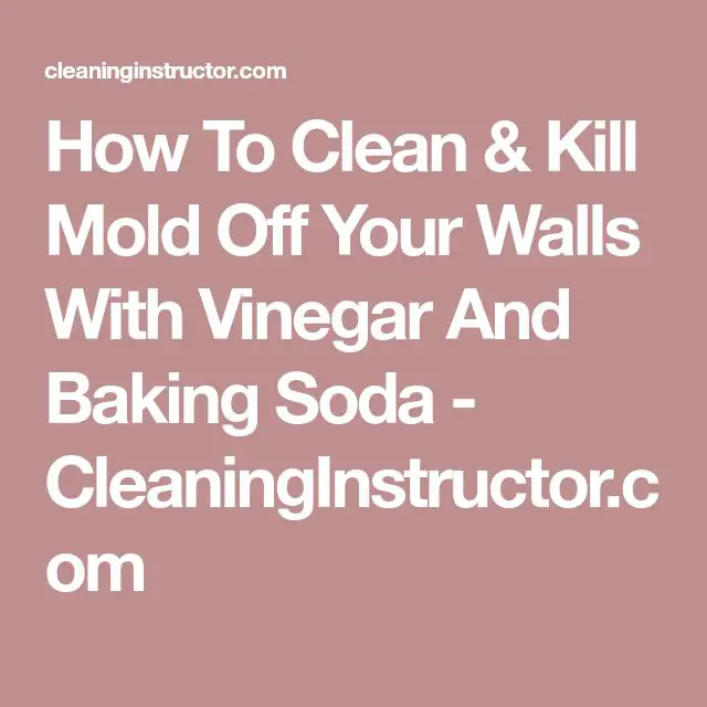 How To Clean &  Kill Mold Off Your Walls With Vinegar And Baking Soda ...