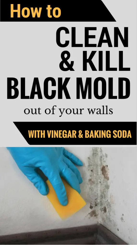 How To Clean &  Kill Mold Off Your Walls With Vinegar And Baking Soda ...