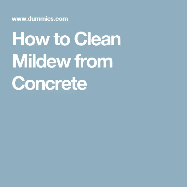How to Clean Mildew from Concrete