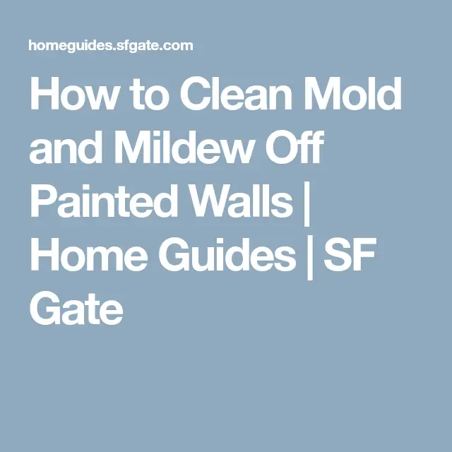 How to Clean Mold and Mildew Off Painted Walls
