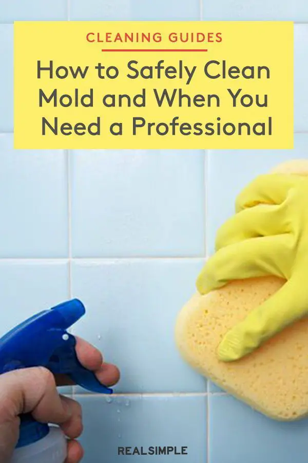 How to Clean Mold (And When to Call in the Pros ...