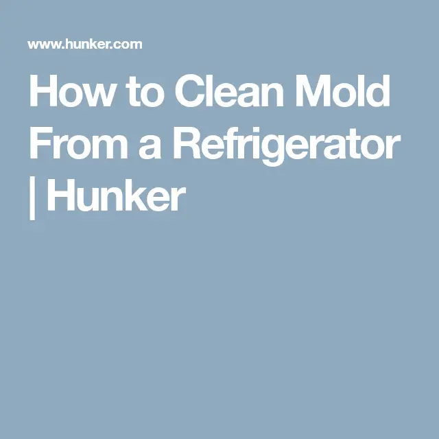 How to Clean Mold From a Refrigerator