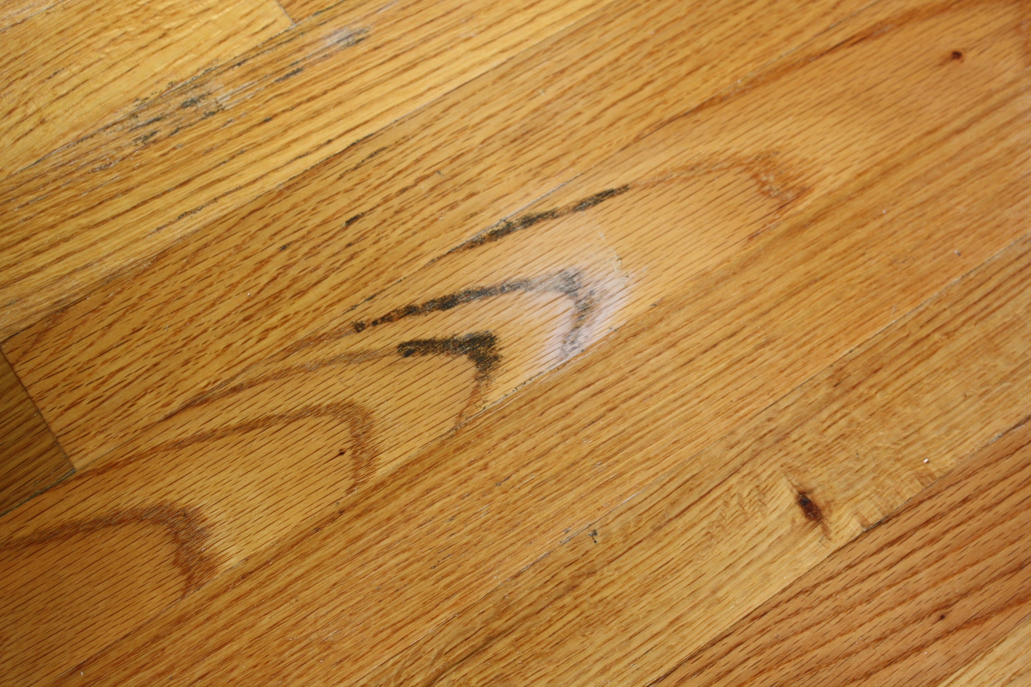 How to Clean Mold From a Wood Floor : 4 Steps