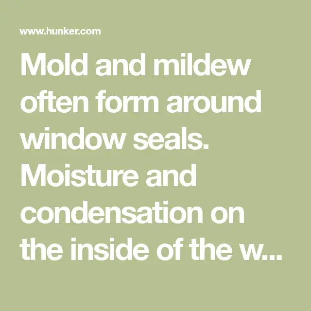How to Clean Mold From Around Window Seals