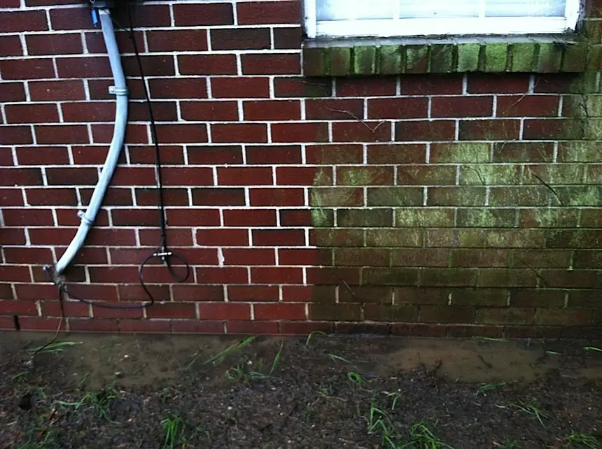 How To Clean Mold From Brick