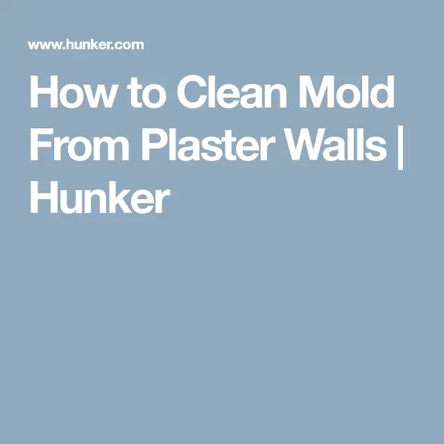 How to Clean Mold From Plaster Walls
