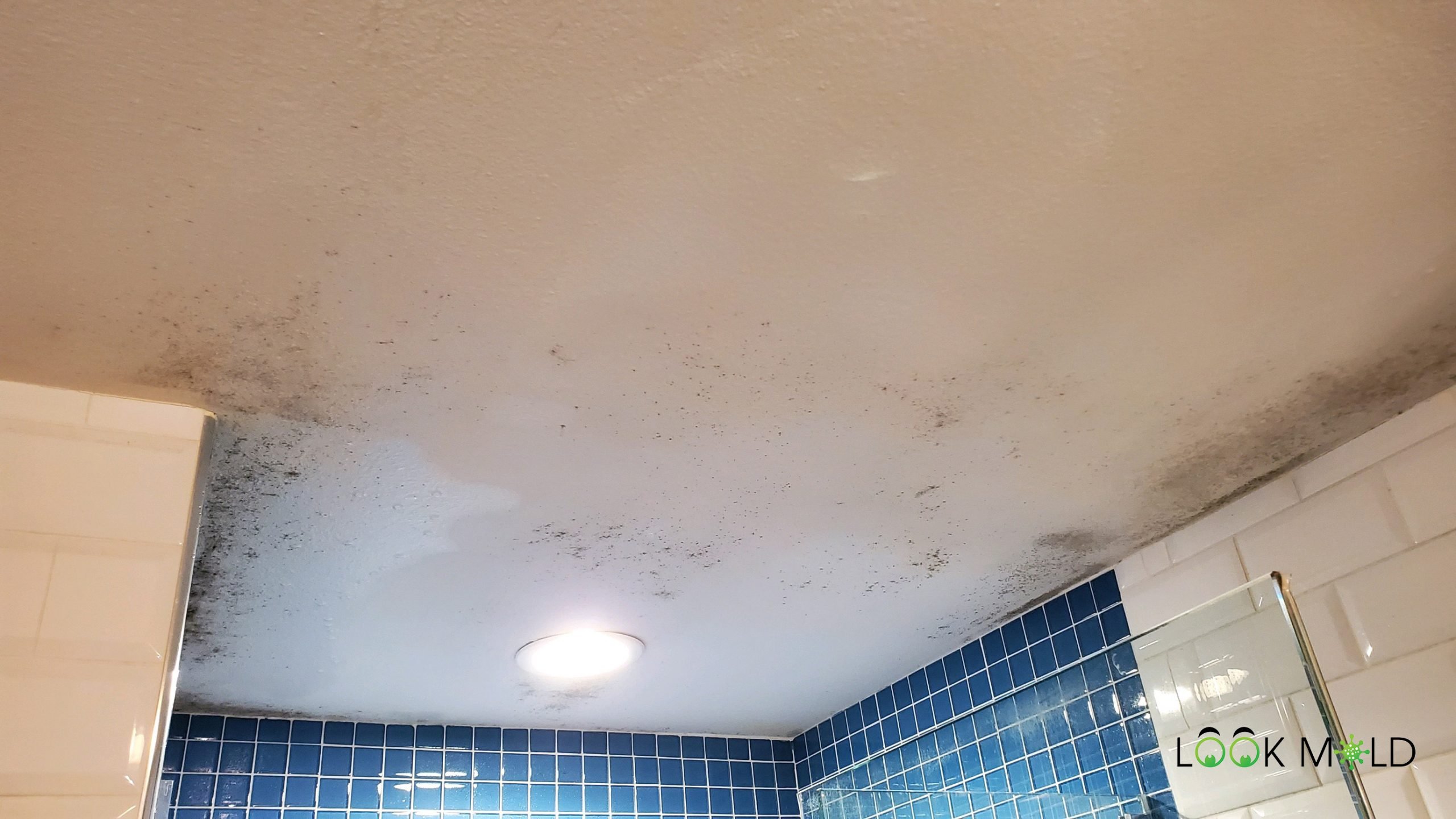 How To Clean Mold From The Shower Ceiling
