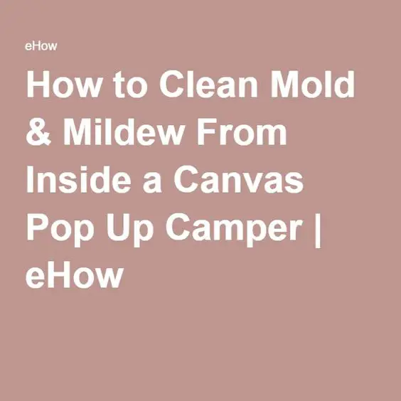 How to Clean Mold &  Mildew From Inside a Canvas Pop Up Camper ...